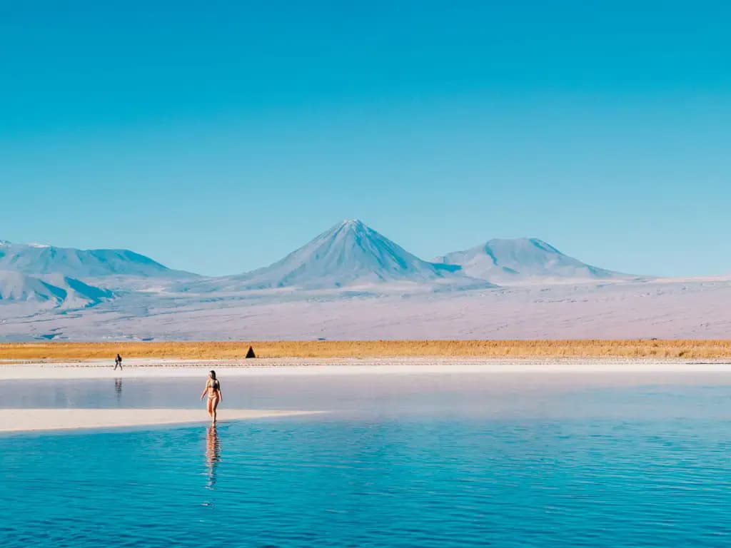 Aguas turquesas de la laguna Cejar en medio del salar