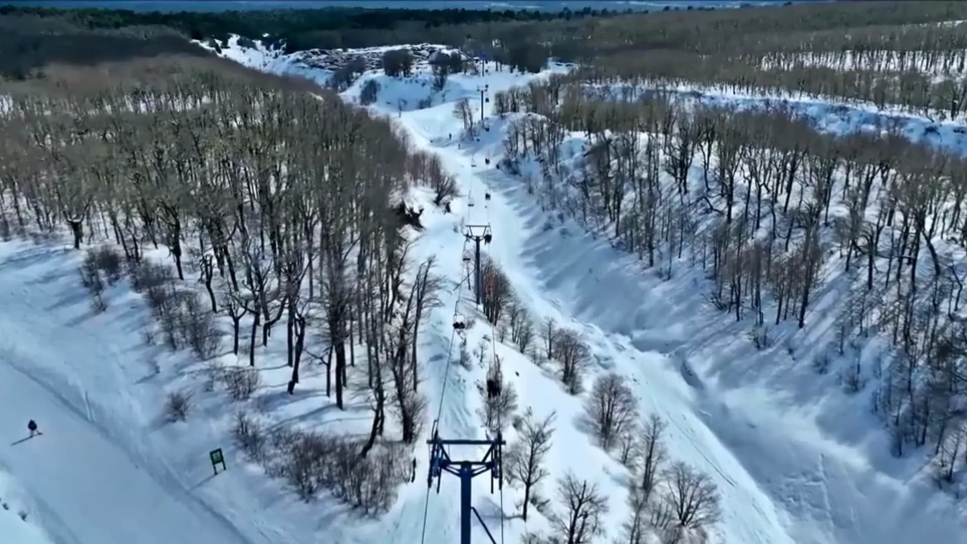 Bosque nevado en la base del volcán